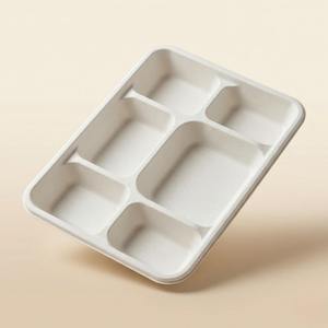 Top Selling 6CP Meal Tray <b>Pulp</b> Moulded Disposable Eco Friendly Compostable Food Container for Catering and Private Label - Product Image 4