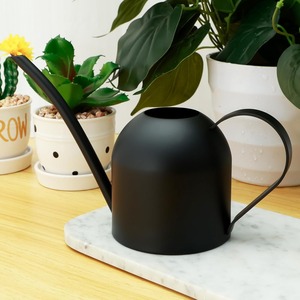 Regadera moderna para interiores y exteriores, construcción robusta con agarre cómodo y boquilla larga, ideal para suculentas y plantas de interior. - Product Image 6