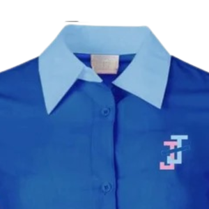 Chemise Oxford bleue boutonnée pour femme, manches longues, col classique, tenue décontractée de bureau, chemise élégante de style preppy, vêtement quotidien - Product Image 5
