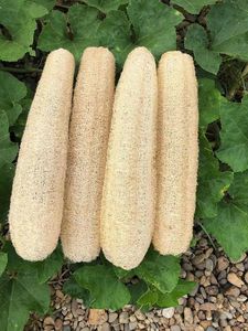 Éponge de bain en loofah naturelle, exfoliante, écologique, porte-savon, jaune clair - Product Image 5