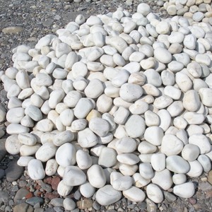 Poudre de Calcite de Pierre Calcaire, Carbonate de Calcium Naturel, Poudre de Carbonate de Calcium Lourd, Approvisionnement en Poudre de Dolomite Neuve d'Inde - Product Image 1