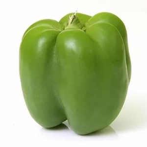 Vegetales Frescos: Pimientos Rojos, Pimientos Verdes, Pimientos Amarillos, Chiles Frescos - Product Image 6