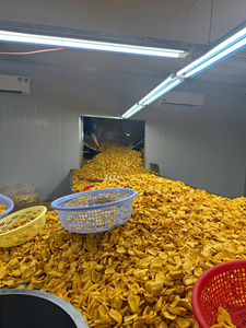 Snack de Jaca Seca Crujiente de Vietnam para Supermercados y Marcas de Snacks Saludables |   OEM Disponible - Product Image 4