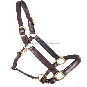 Top Quality Brown Padded Genuine Leather Horse <b>Halter</b> Double Stitching and Adjustable Heavy Duty Brass Hardware Custom Sizes - Product Image 1
