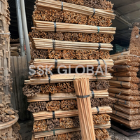 Sikat Lantai Kayu Alami Vietnam Tahan Air, Gagang Kayu, Ramah Lingkungan, Desain Ringan untuk Perabotan