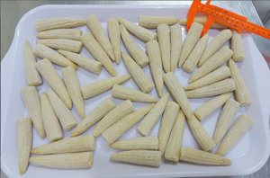 Maíz Bebé Congelado IQF, Vegetales Enteros Pelados y Cocidos al Vapor - Product Image 5