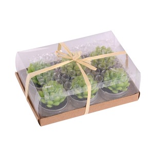 Velas Aromáticas TOOWIN con Diseños de Suculentas Artificiales, Velas Decorativas Románticas para el Hogar - Product Image 5