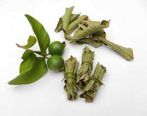 Hojas de guayaba secas en Vietnam: alta calidad y precio competitivo - Product Image 6