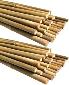Eco2go Vietnam Wholesale 100% Bamboo <b>Poles</b> (2-20m 3-10cm) <b>for</b> Agriculture <b>Gardening</b>-Flexible High Quality Supporting - Product Image 1