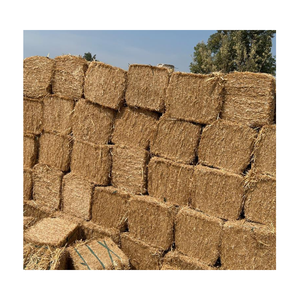 Heno de paja de trigo picado para cerdos, ganado, caballos, uso - Product Image 3