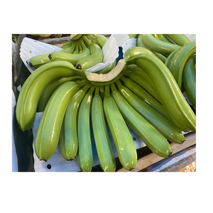 Bananes Cavendish vertes fraîches à bas prix, prêtes pour la vente en gros et la revente - Product Image 1