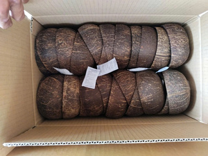 Meilleures ventes : Bol en coque de noix de coco écologique, sûr et propre, 100% végétal, idéal pour les sauces et les plats de fête, prix direct - Product Image 2