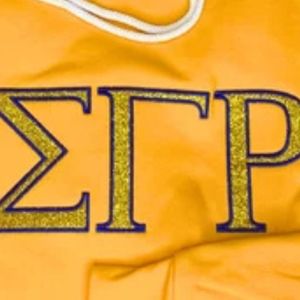 เสื้อฮู้ดปักลาย Sigma Gamma Rho แบบมีกลิตเตอร์ เสื้อสเวตเชิ้ตผ้าฟลีซแบบมีฮู้ดตัวอักษรกรีกแบบกำหนดเอง สไตล์แฟชั่นสำหรับชมรมนักศึกษาชั้นนำ - Product Image 4