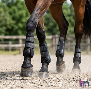 Equestrian High Quality Breathable Mesh Horse <b>Brushing</b> <b>Boot</b> Shockproof Strike Pad Neoprene Protect Tendon Lightweight Stardust - Product Image 4