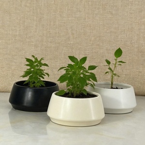 Luxury Modern Lead Free On-glazed <strong>Ceramic</strong> Irregular Shape Decorative Tabletop <strong>Flower</strong> <strong>Pots</strong> &amp; Vase Planter - Product Image 1