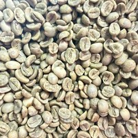 Café Vert Arabica du Vietnam de Qualité Supérieure, Grains de Café Instantané Pur du Vietnam, Taille 18, Export en Vrac, Café Spécialité Haute Montagne