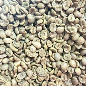 เมล็ดกาแฟเวียดนามอาราบิก้าสีเขียว ขนาด 16 เมล็ดกาแฟอาราบิก้าขายส่ง จำนวนมาก สำหรับผู้นำเข้ากาแฟ - Product Image 6