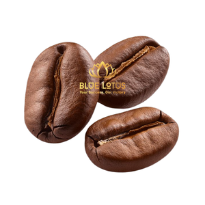 เมล็ดกาแฟโรบัสต้าเขียวคุณภาพสูง ยั่งยืน เป็นมิตรต่อสิ่งแวดล้อม ขายดีที่สุด คั่วกลาง เกรดเวียดนาม ธรรมชาติเพื่อสุขภาพ ขายส่ง - Product Image 1