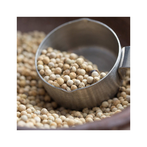 Pimienta Blanca Entera de Grado Alimenticio, Suministro al por Mayor a Granel - Product Image 3