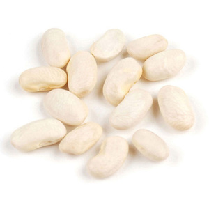 Producto Agrícola 100% Orgánico y Natural, Frijoles Blancos Grandes, Crudos y Secos - Product Image 5