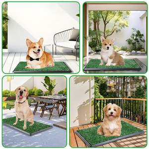 Alfombra de Césped Artificial Lavable y Duradera TH-PAG-612, Proporciona una Zona de Baño Confortable, Adecuada para Hogares Pequeños y Patios Pequeños - Product Image 6