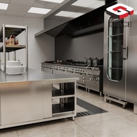 Ensemble d'Équipements de Cuisine Professionnelle GRACE en Acier Inoxydable, Idéal pour la Restauration Rapide et l'Industrie