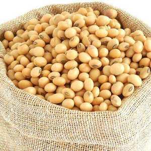 Direct Farm Pricing Yellow <b>Soybeans</b> Bulk Contract - Product Image 1