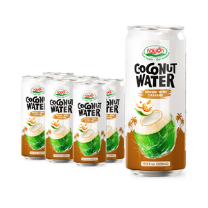 Deliciosa Agua de Coco con Sabor a Canela, Bajo MOQ, 250 ml, Enlatada, Natural, Precio de Exportación, Marca Privada, OEM, ODM, Muestra Gratuita - Product Image 4