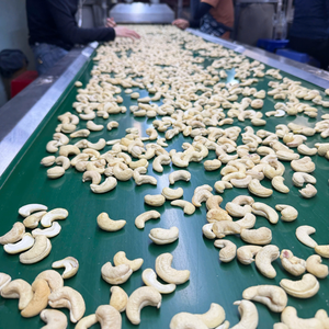 Hot Sale Cashew <b>Nuts</b> WW180, WW240, WW320, LP, WS Cashew Cashew <b>Nut</b> <b>Kernels</b> Factory Price - Product Image 1