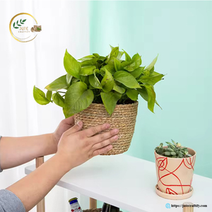 Wholesale Jute <b>Tree</b> <b>Pot</b> Supplier – Eco Friendly Natural Fiber Planter Cover with Custom Size and Design Options - Product Image 2