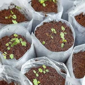 Blocs de tourbe de coco en fibres de coco de haute qualité en gros, briques de terre et granulés de 5 kg pour l'exportation en jardinage - Product Image 5