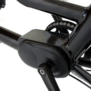 Bicicleta Eléctrica de Carga de 3 Ruedas con Motor Central DAPU de 250w, Estilo Europeo, <span class=keywords><strong>Nueva</strong></span> Llegada, <span class=keywords><strong>Trimoto</strong></span> Eléctrica para Carga Familiar - Product Image 4