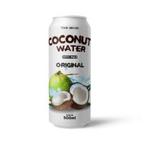 100% Vers 500Ml Kokoswater Met Pulp Oem Private Label Frisdrank Fabriek Direct-Free Sample & Design Bulkverpakking