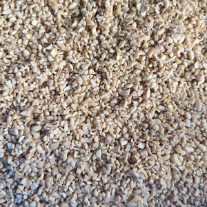 Prix d'usine Noix de Cajou Entières en Gros Faible MOQ Graines de Noix SANTIGO - Product Image 1