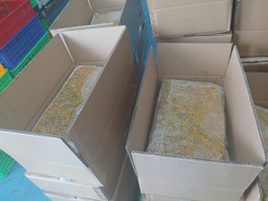 Frozen Passion Fruit <b>Pulp</b> IQF from Vietnam – High Purity Consistent Quality and Direct Supply from Reliable Export Factory - Product Image 2
