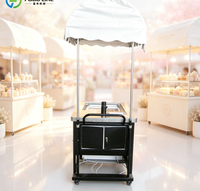 Chariot à glaces portable équipé d'un congélateur pour les activités commerciales en extérieur