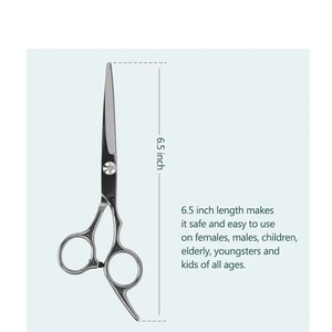 Juego de Tijeras Profesionales de Acero Inoxidable para Peluquería, con Tijeras de Entresacar, Grado A+, para Diestros, para Salones de Belleza - Product Image 5