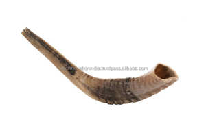 Cuerno tradicional Kosher Kudu Shofar de Israel Aspecto medio pulido genuino - Product Image 2