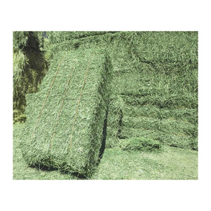 Heno de Alfalfa/Heno de Timothy Listo para Enviar - Product Image 6