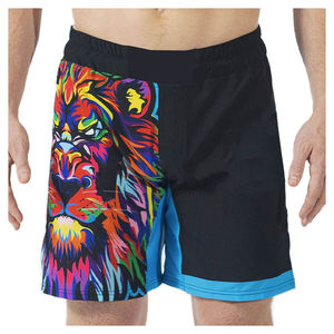 Pantalones Cortos de MMA con Logotipo Personalizado de Alta Calidad – Tela Elástica Resistente a Desgarros, Absorbe la Humedad, Transpirable, de Secado Rápido para Luchadores Masculinos - Product Image 6