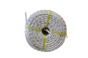 Cuerda trenzada de PP Danline de alta demanda, cuerda marina, cuerda trenzada de PP para embalaje de redes de pesca marinas - Product Image 1