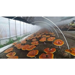 Strong and Durable Fiberglass <b>Rods</b> for Vegetable Greenhouses - Product Image 2