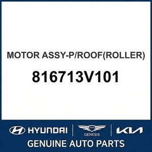 Grandeur/Azera Nuevas Piezas y Accesorios para Autos y Camiones 816713V101 - Product Image 1
