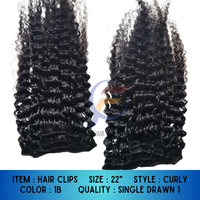 Nuevo Clip para el Cabello 2025, Juego de 4 Piezas, 100gr, Cabello Lacio Indonesio, Extensiones de Cabello Humano Virgen Remy 100%, Longitud de 8"-32"