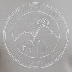 Sudadera con Capucha Gris para Mujer, con Logotipo Redondo Transparente y Brillante, Informal, de Manga Larga, para Uso Diario, Ropa Cómoda para el Estilo de Vida - Product Image 2