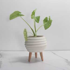 Pot de fleurs en céramique moderne en forme d'OVNI avec pieds en bois, design créatif en galets, support trépied décoratif pour plantes succulentes de bureau - Product Image 4