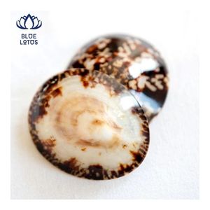 Coquillages de limaces de mer du Vietnam 2026 les plus vendus, coquilles ovales polies pour bijoux faits main, artisanat DIY et décoration sur le thème de l'océan - Product Image 2