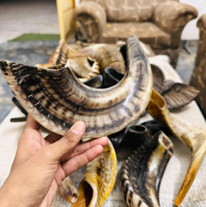 Venta al por mayor de cuerno Shofar tradicional hecho a mano Rosh Hashanah Yom Kippur Bar Mitzvahs y uso de SINAGOGA - Product Image 6