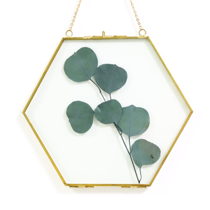 Cadre mural hexagonal en laiton avec feuilles d'eucalyptus, cadre photo incassable, finition or brillant, verre transparent, décoration murale - Product Image 2