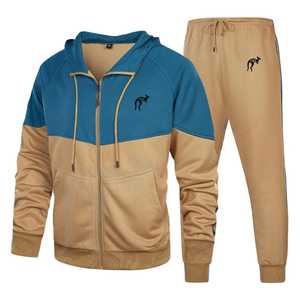 Ensembles de survêtements de sport d'été et d'automne de haute qualité, pull oversize ample, survêtements de jogging, ensembles de sweat-shirts à capuche et pantalons de jogging vierges - Product Image 4